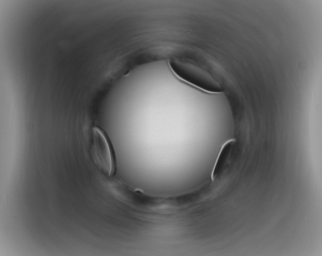 X0000114660750200910201020