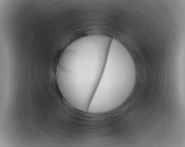 X0000114660751200910201020