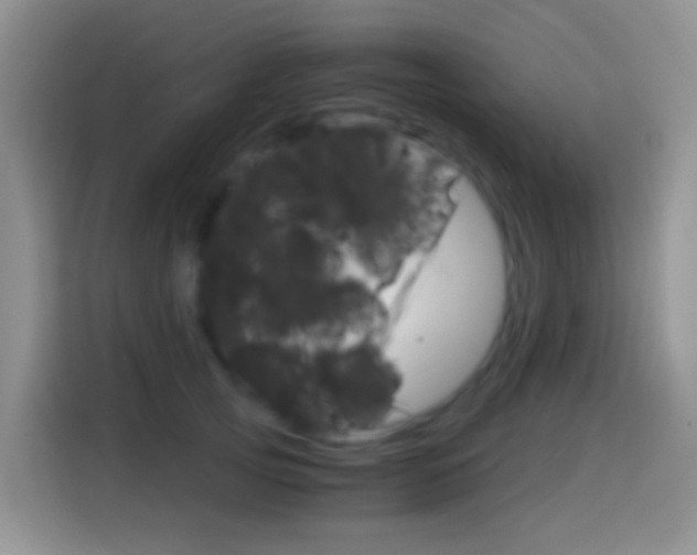 X0000114660753200910201020