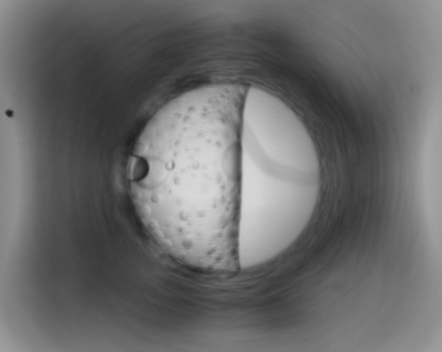 X0000114660755200910201020