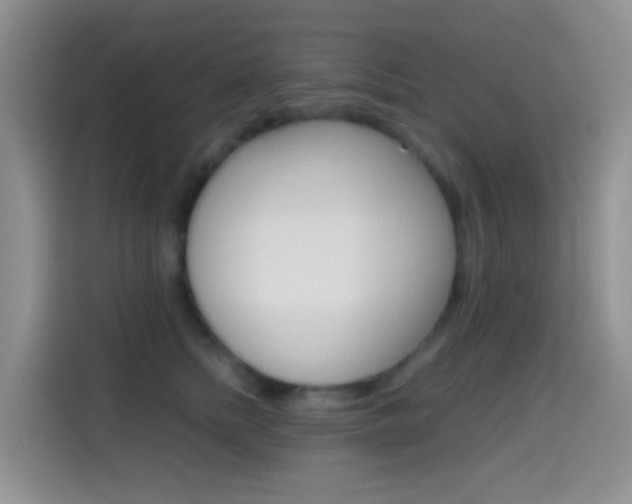 X0000114660758200910201020