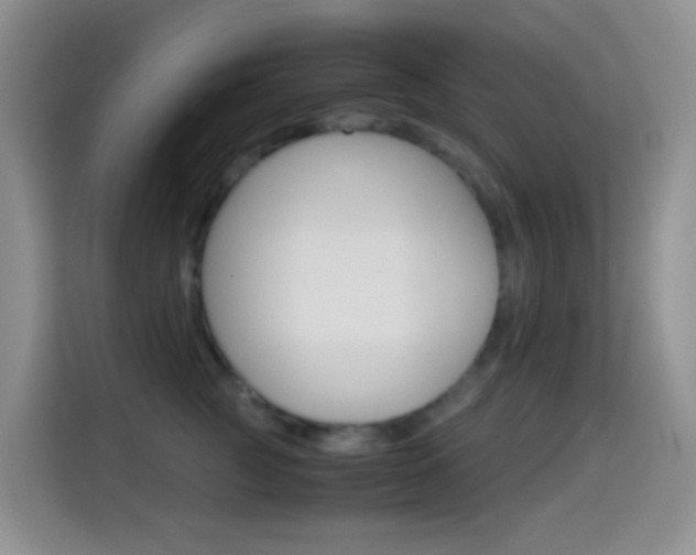 X0000114660761200910201020