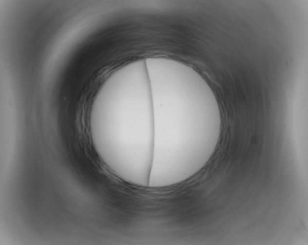 X0000114660763200910201021