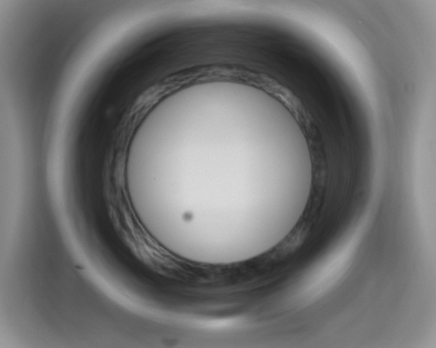 X0000114660765200910201021