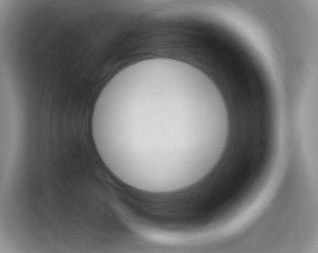 X0000114660766200910201021
