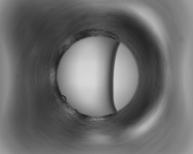 X0000114660767200910201021