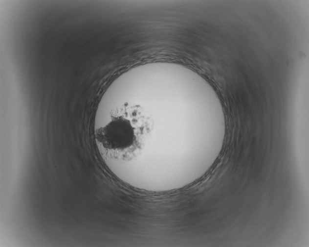X0000114660769200910201020