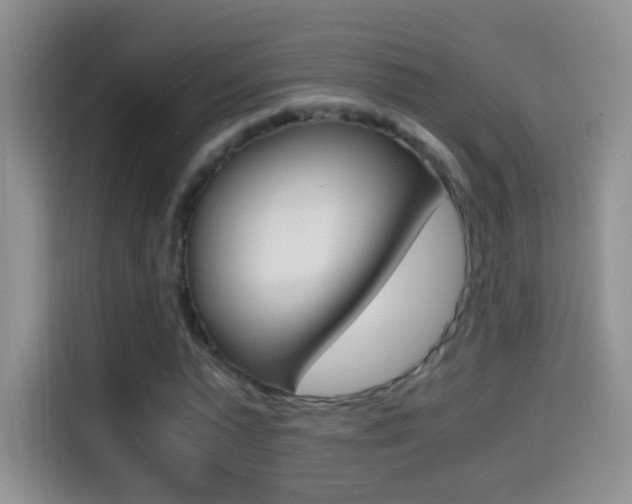 X0000114660775200910201020