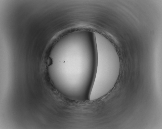 X0000114660776200910201020
