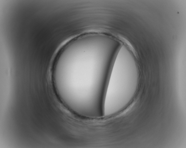 X0000114660779200910201020
