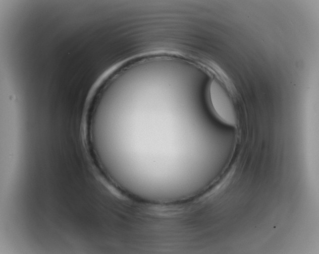 X0000114660780200910201020