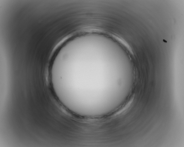 X0000114660782200910201020