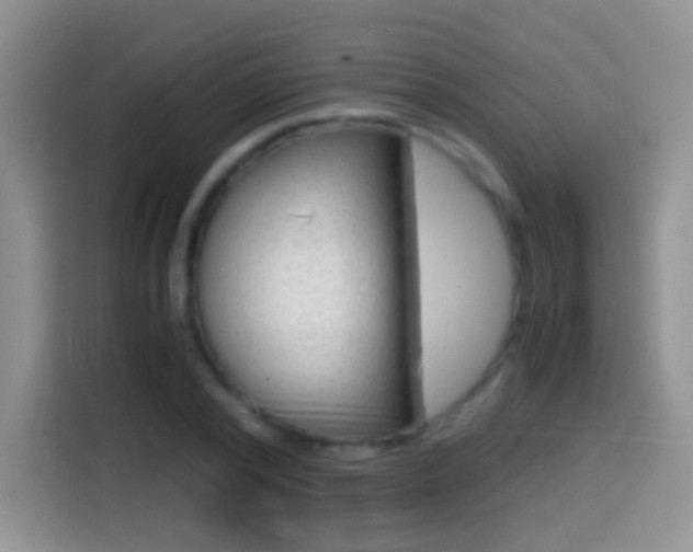 X0000114660784200910201020