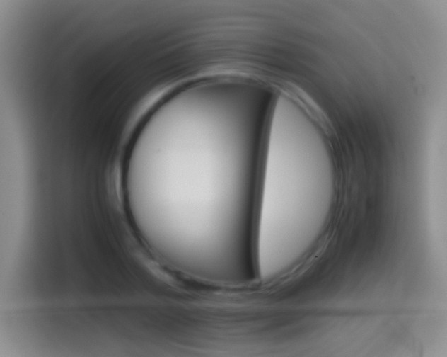 X0000114660788200910201020