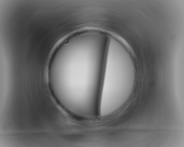 X0000114660791200910201020
