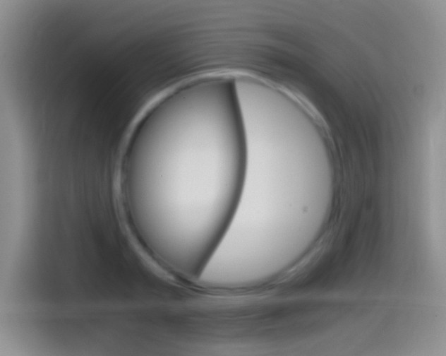 X0000114660797200910201020