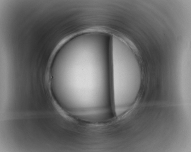 X0000114660800200910201020