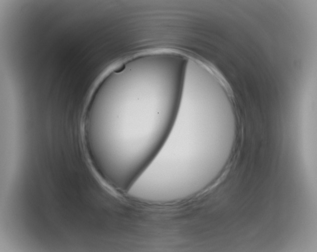 X0000114660805200910201019