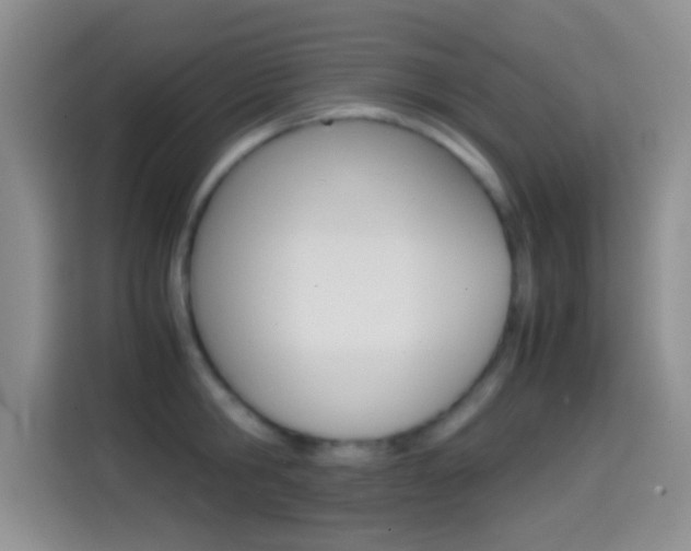 X0000114660806200910201019