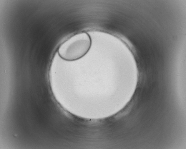 X0000114660807200910201019