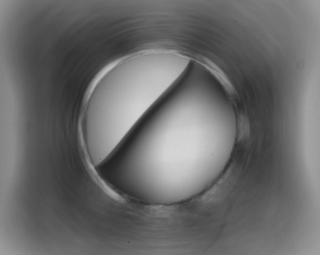 X0000114660812200910201019