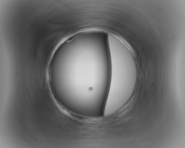 X0000114660813200910201019
