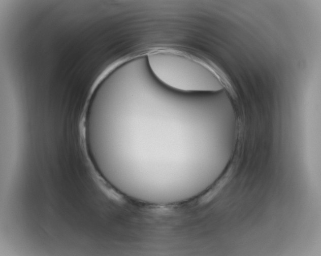 X0000114660814200910201019