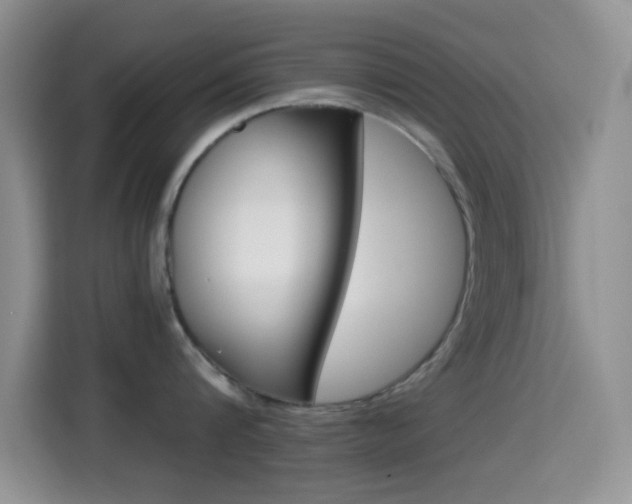 X0000114660816200910201019