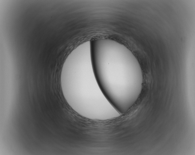 X0000114660818200910201019
