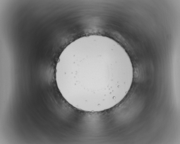 X0000114660820200910201019