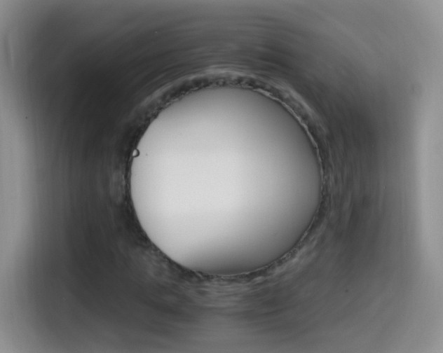 X0000114660821200910201019
