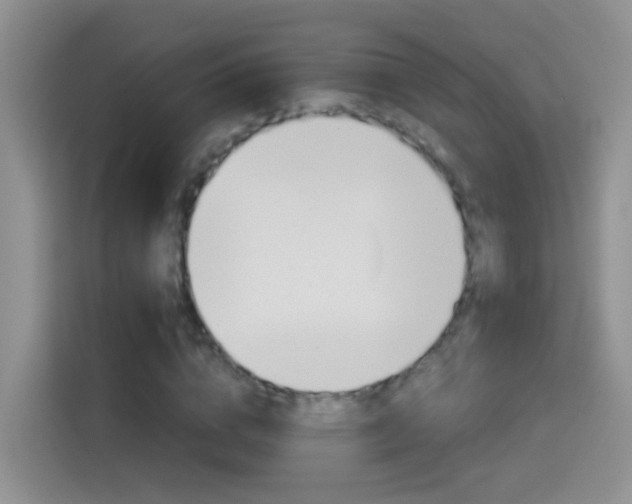 X0000114660824200910201019