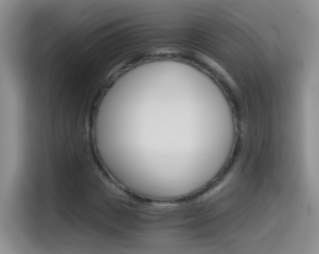 X0000114660825200910201019