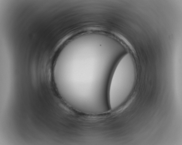 X0000114660829200910201019