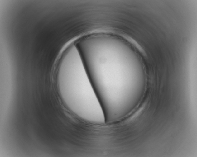 X0000114660830200910201019