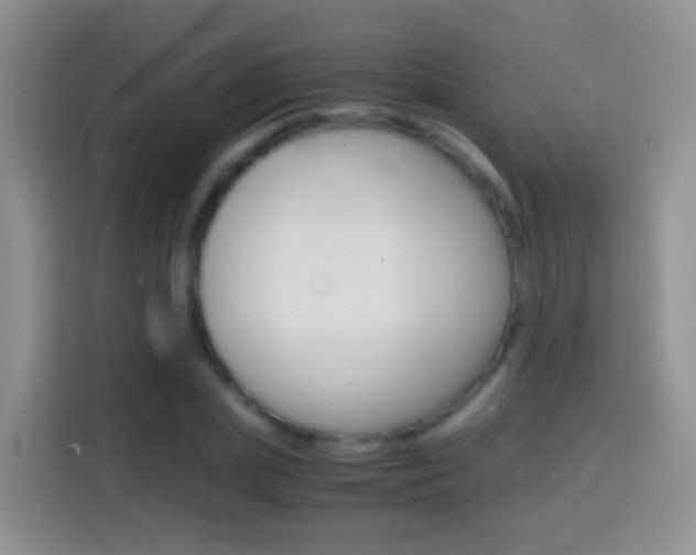 X0000114660831200910201019