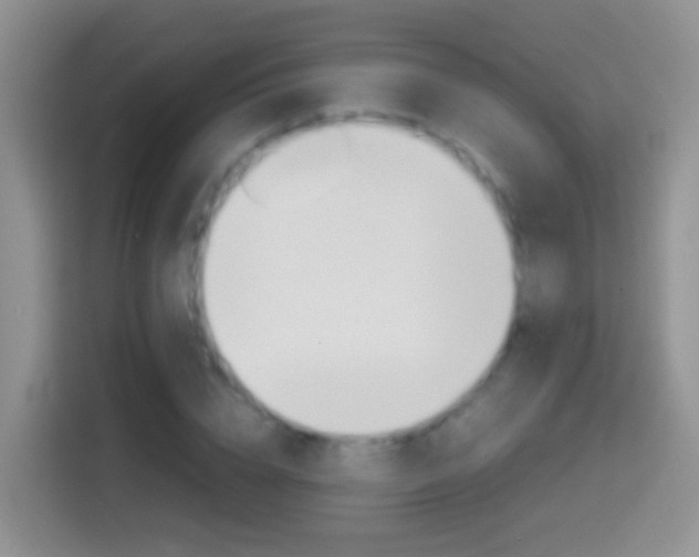 X0000114660832200910201019