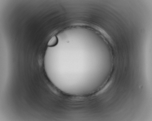 X0000114660833200910201019