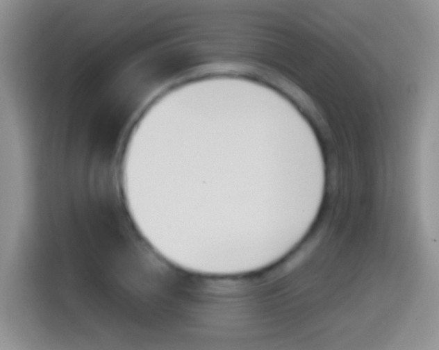 X0000114660836200910201019