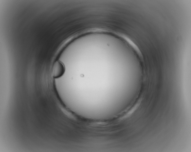 X0000114660837200910201019