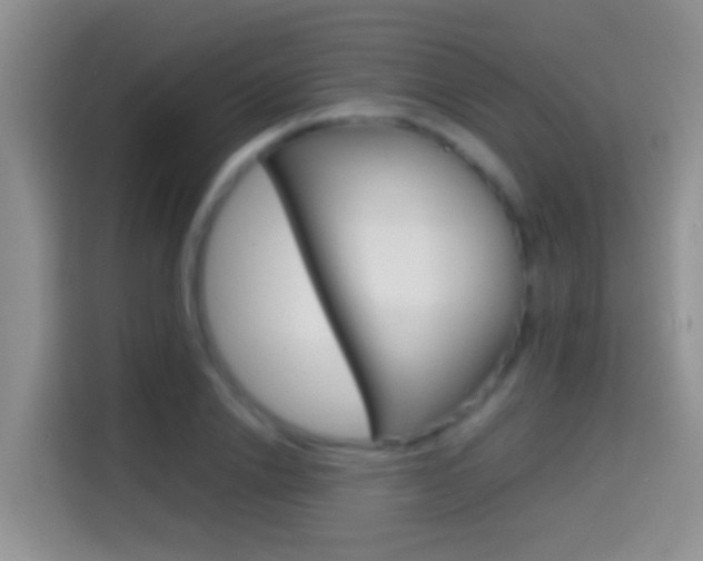 X0000114660838200910201019