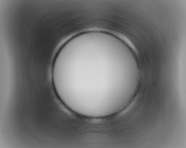 X0000114660839200910201019