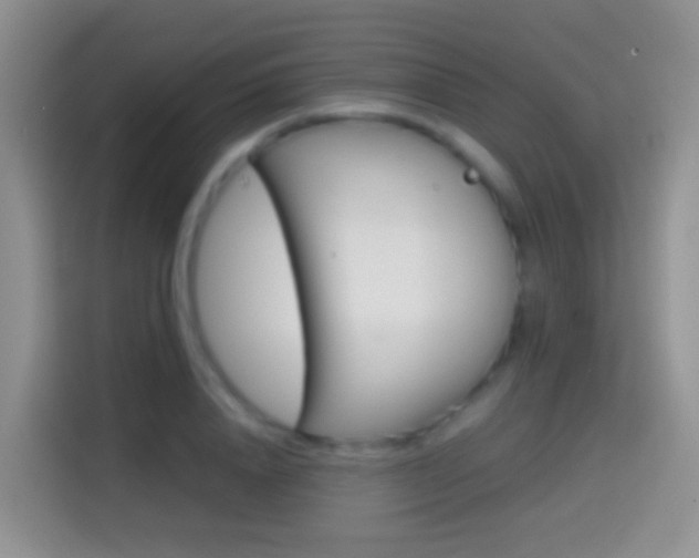 X0000114660840200910201019