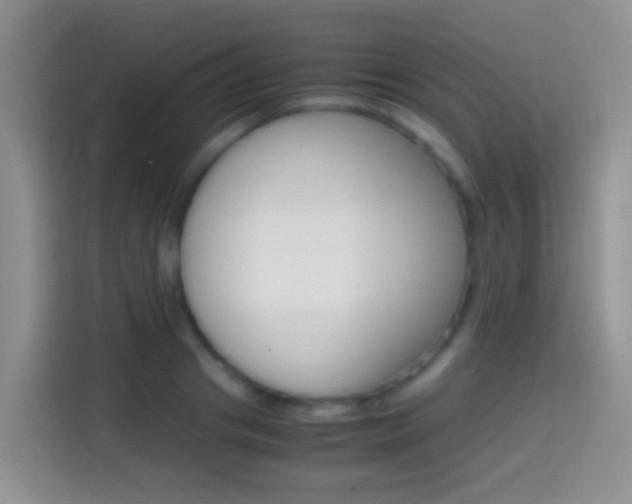 X0000114660841200910201019