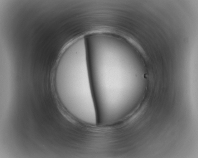 X0000114660842200910201019