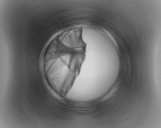 X0000114660843200910201019