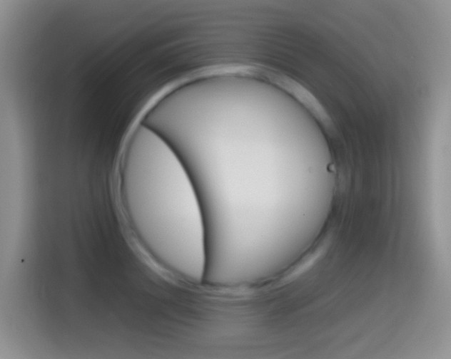 X0000114660844200910201019