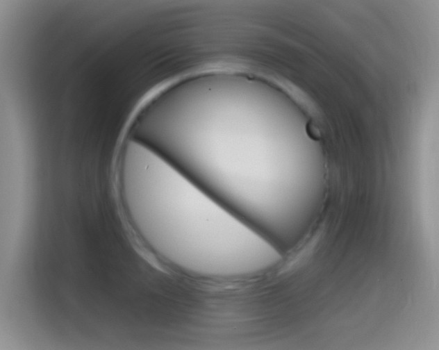 X0000114660846200910201019
