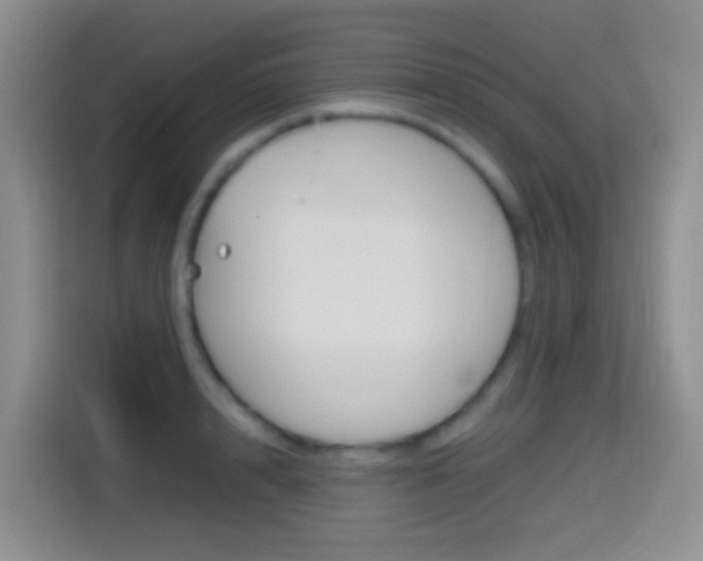 X0000114660848200910201019