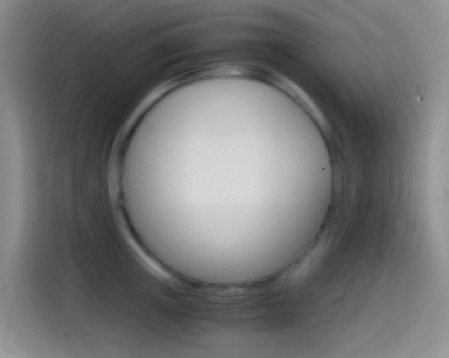 X0000114660851200910201019